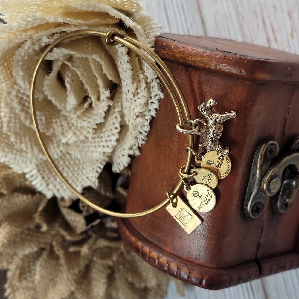RETIRED ALEX & ANI MONOPOLY DOG BRACELET